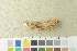  ( - O-F-76360)  @11 [ ] by-nc-sa (2020) Unspecified University of Oslo, Natural History Museum