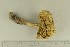  ( - O-F-76457)  @11 [ ] by-nc-sa (2021) Unspecified University of Oslo, Natural History Museum