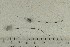  ( - O-F-76583)  @11 [ ] by-nc-sa (2021) Unspecified University of Oslo, Natural History Museum