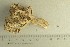  ( - O-F-76606)  @11 [ ] by-nc-sa (2021) Unspecified University of Oslo, Natural History Museum