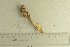  ( - O-F-76609)  @11 [ ] by-nc-sa (2021) Unspecified University of Oslo, Natural History Museum