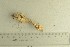  ( - O-F-76609)  @11 [ ] by-nc-sa (2021) Unspecified University of Oslo, Natural History Museum