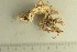  ( - O-F-76613)  @11 [ ] by-nc-sa (2021) Unspecified University of Oslo, Natural History Museum