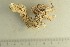  ( - O-F-76613)  @11 [ ] by-nc-sa (2021) Unspecified University of Oslo, Natural History Museum