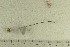  ( - O-F-76682)  @11 [ ] by-nc-sa (2022) Unspecified University of Oslo, Natural History Museum