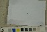  ( - O-F-76837)  @11 [ ] by-nc-sa (2023) Unspecified University of Oslo, Natural History Museum