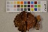  ( - O-F-75451)  @11 [ ] Unspecified (default): All Rights Reserved  Unspecified Unspecified