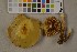  ( - O-F-75512)  @11 [ ] Unspecified (default): All Rights Reserved  Unspecified Unspecified