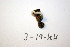  ( - O-F-256593)  @11 [ ] CreativeCommons - Attribution Non-Commercial Share-Alike (2019) Unspecified University of Oslo, Natural History Museum