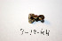  ( - O-F-256593)  @11 [ ] CreativeCommons - Attribution Non-Commercial Share-Alike (2019) Unspecified University of Oslo, Natural History Museum