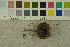  ( - O-F-256353)  @11 [ ] CreativeCommons - Attribution Non-Commercial Share-Alike (2018) Unspecified University of Oslo, Natural History Museum