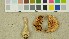  (Cortinarius microglobisporus - O-DFL-1412)  @11 [ ] CreativeCommons - Attribution Non-Commercial Share-Alike (2015) Unspecified University of Oslo, Natural History Museum