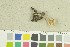  ( - O-F-259248)  @11 [ ] by-nc-sa (2022) Unspecified University of Oslo, Natural History Museum
