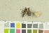  ( - O-F-259248)  @11 [ ] by-nc-sa (2022) Unspecified University of Oslo, Natural History Museum