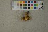  ( - O-F-259367)  @11 [ ] by-nc-sa (2023) Unspecified University of Oslo, Natural History Museum
