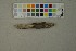  ( - O-F-259407)  @11 [ ] by-nc-sa (2023) Unspecified University of Oslo, Natural History Museum