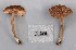 ( - O-F-304541)  @11 [ ] Copyright (2017) Unspecified Norwegian Institute for Nature Research