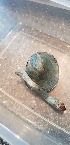  ( - TROM_F_26657)  @11 [ ] CreativeCommons - Attribution Non-Commercial Share-Alike (2018) Unspecified Tromsø University Museum