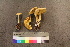  ( - TROM_F_26569)  @11 [ ] CreativeCommons - Attribution Non-Commercial Share-Alike (2018) Unspecified Tromsø University Museum