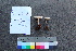  ( - TROM_F_26576)  @11 [ ] CreativeCommons - Attribution Non-Commercial Share-Alike (2018) Unspecified Tromsø University Museum