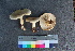  ( - TROM_F_26572)  @11 [ ] CreativeCommons - Attribution Non-Commercial Share-Alike (2018) Unspecified Tromsø University Museum
