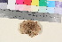  ( - TROM_F_17089)  @11 [ ] CreativeCommons - Attribution Non-Commercial Share-Alike (2022) Unspecified Tromsø University Museum