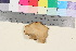  ( - TROM_F_17089)  @11 [ ] CreativeCommons - Attribution Non-Commercial Share-Alike (2023) Unspecified Tromsø University Museum