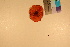  ( - TROM_F_17313)  @11 [ ] CreativeCommons - Attribution Non-Commercial Share-Alike (2017) Unspecified Tromsø University Museum