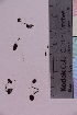  ( - TROM_F_22)  @11 [ ] CreativeCommons - Attribution Non-Commercial Share-Alike (2019) Unspecified Tromsø University Museum