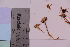  ( - TROM_F_23391)  @11 [ ] CreativeCommons - Attribution Non-Commercial Share-Alike (2018) Unspecified Tromsø University Museum