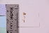  ( - TROM_F_23405)  @11 [ ] CreativeCommons - Attribution Non-Commercial Share-Alike (2019) Unspecified Tromsø University Museum