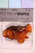  ( - TROM_F_6763)  @11 [ ] CreativeCommons - Attribution Non-Commercial Share-Alike (2019) Unspecified Tromsø University Museum