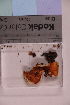  ( - TROM_F_6877)  @11 [ ] CreativeCommons - Attribution Non-Commercial Share-Alike (2019) Unspecified Tromsø University Museum