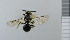  ( - NHMO_APO00027)  @13 [ ] No Rights Reserved (2013) Unspecified University of Oslo, Natural History Museum