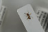  (Linepithema angulatum - HYMNI1088)  @12 [ ] CreativeCommons - Attribution Non-Commercial Share-Alike (2015) Arnstein Staverlokk Norwegian Institute of Nature Research