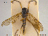  ( - NOBRA323)  @11 [ ] CreativeCommons - Attribution Non-Commercial Share-Alike (2015) NTNU University Museum, Department of Natural History NTNU University Museum, Department of Natural History