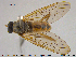  ( - NOBRA324)  @11 [ ] CreativeCommons - Attribution Non-Commercial Share-Alike (2015) NTNU University Museum, Department of Natural History NTNU University Museum, Department of Natural History