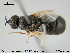  ( - NOBRA 193)  @13 [ ] CreativeCommons - Attribution Non-Commercial Share-Alike (2015) NTNU University Museum, Department of Natural History NTNU University Museum, Department of Natural History