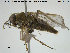  ( - NOBRA 251)  @11 [ ] CreativeCommons - Attribution Non-Commercial Share-Alike (2015) NTNU University Museum, Department of Natural History NTNU University Museum, Department of Natural History