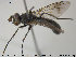  ( - NOBRA 343)  @12 [ ] CreativeCommons - Attribution Non-Commercial Share-Alike (2015) NTNU University Museum, Department of Natural History NTNU University Museum, Department of Natural History