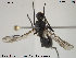  ( - NOBRA 344)  @13 [ ] CreativeCommons - Attribution Non-Commercial Share-Alike (2015) NTNU University Museum, Department of Natural History NTNU University Museum, Department of Natural History
