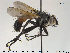  ( - NOBRA 347)  @11 [ ] CreativeCommons - Attribution Non-Commercial Share-Alike (2015) NTNU University Museum, Department of Natural History NTNU University Museum, Department of Natural History
