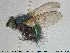  ( - NOTAC297)  @13 [ ] CreativeCommons - Attribution Non-Commercial Share-Alike (2015) NTNU University Museum, Department of Natural History NTNU University Museum, Department of Natural History