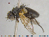  ( - NOTAC310)  @11 [ ] CreativeCommons - Attribution Non-Commercial Share-Alike (2015) NTNU University Museum, Department of Natural History NTNU University Museum, Department of Natural History