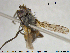  ( - NOTAC313)  @11 [ ] CreativeCommons - Attribution Non-Commercial Share-Alike (2015) NTNU University Museum, Department of Natural History NTNU University Museum, Department of Natural History