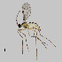  ( - NHMO-ENT-671671)  @11 [ ] by-sa (2024) Unspecified University of Oslo, Natural History Museum