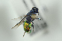  ( - HYMNI2301)  @12 [ ] CreativeCommons - Attribution Non-Commercial Share-Alike (2017) Arnstein Staverlokk Norwegian Institute of Nature Research