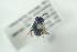  ( - HYMNI2302)  @12 [ ] CreativeCommons - Attribution Non-Commercial Share-Alike (2017) Arnstein Staverlokk Norwegian Institute of Nature Research