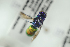  ( - HYMNI2305)  @13 [ ] CreativeCommons - Attribution Non-Commercial Share-Alike (2017) Arnstein Staverlokk Norwegian Institute of Nature Research