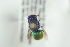  ( - HYMNI2327)  @12 [ ] CreativeCommons - Attribution Non-Commercial Share-Alike (2017) Arnstein Staverlokk Norwegian Institute of Nature Research